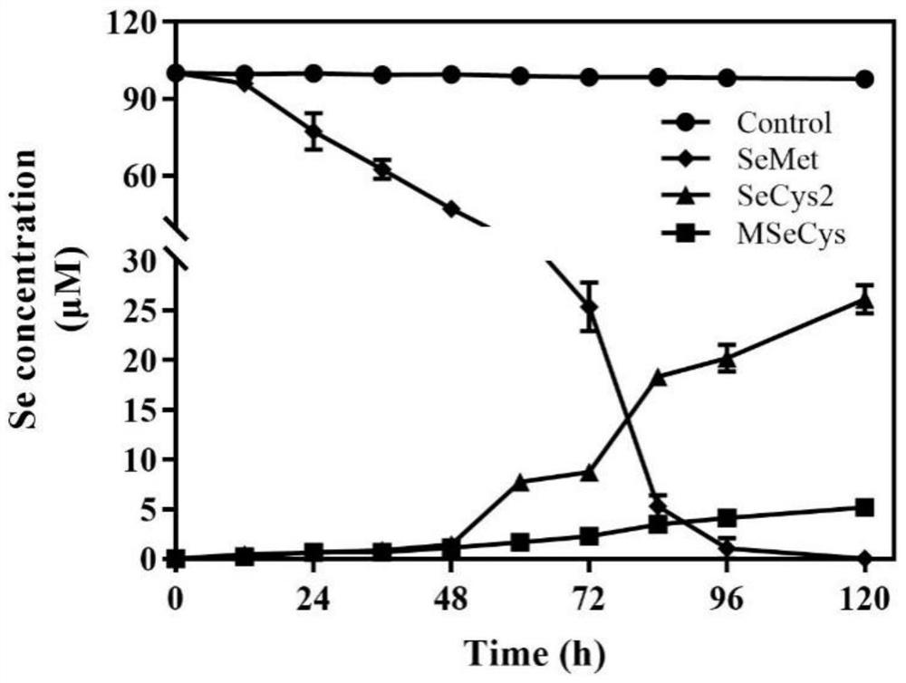 A lx-88 strain with good selenium transformation and se(0) oxidation ability and its application