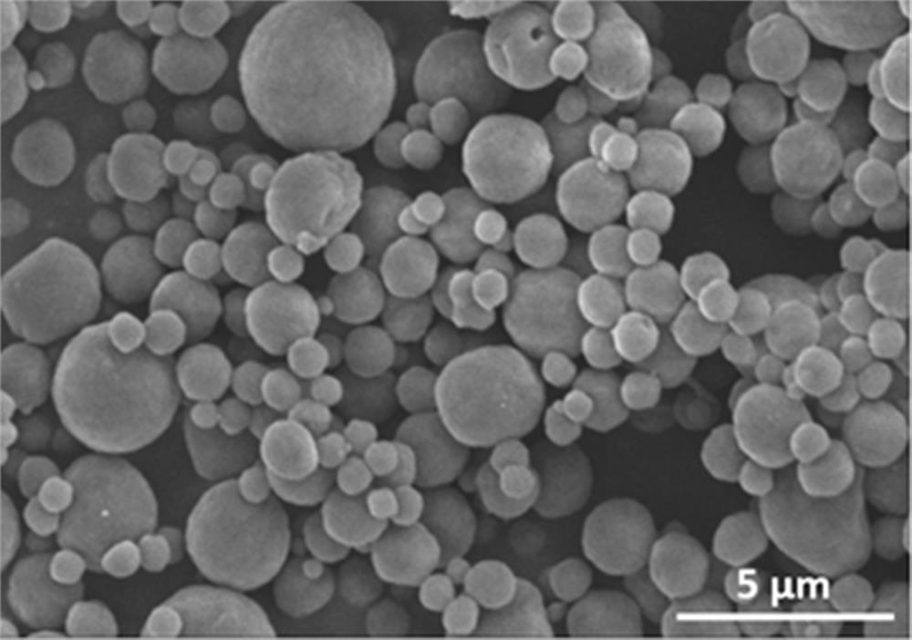 A method for preparing collagen with triple helix structure by spray drying