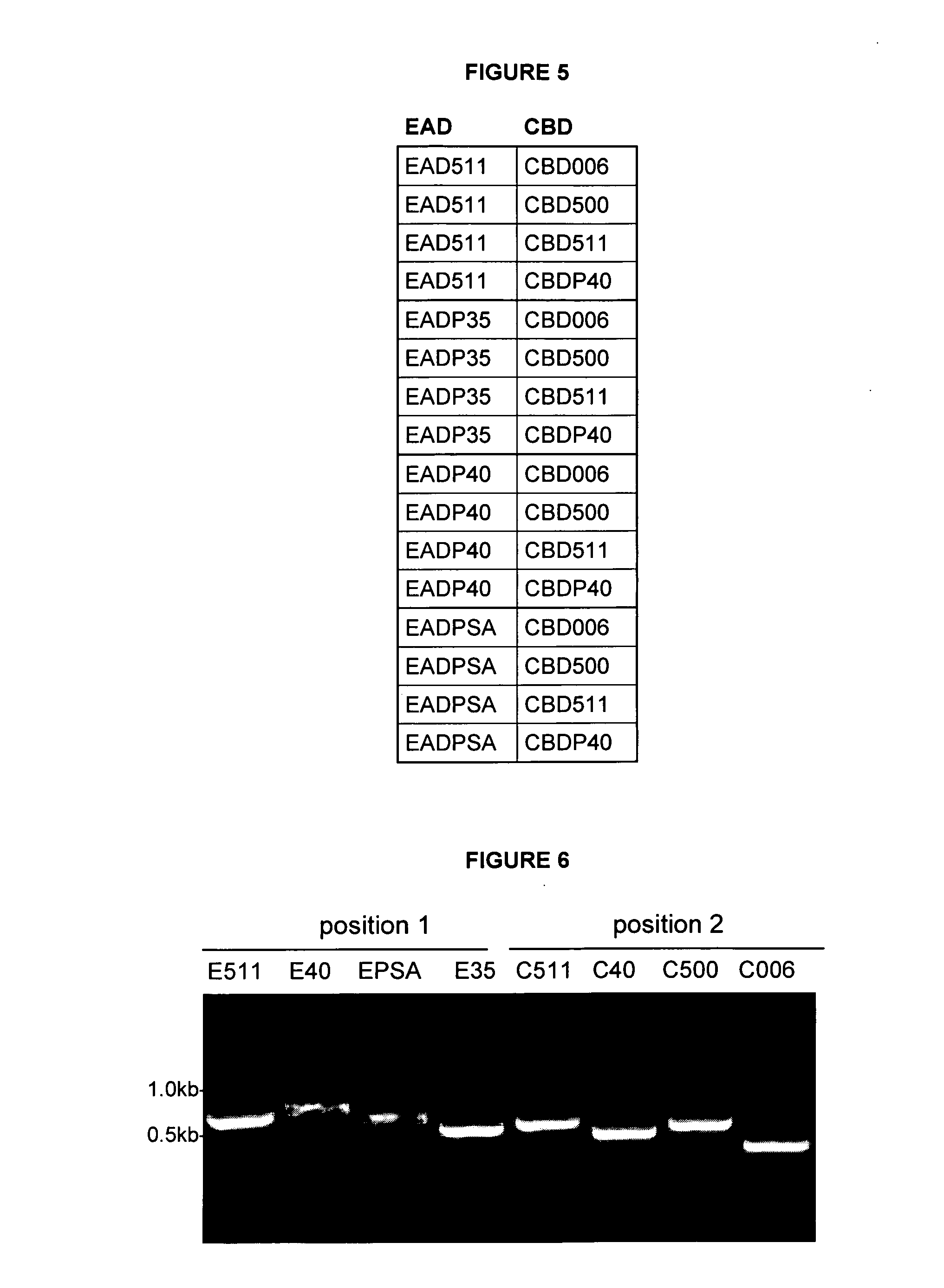 Methods of generating and screening for lytic chimeric polypeptides