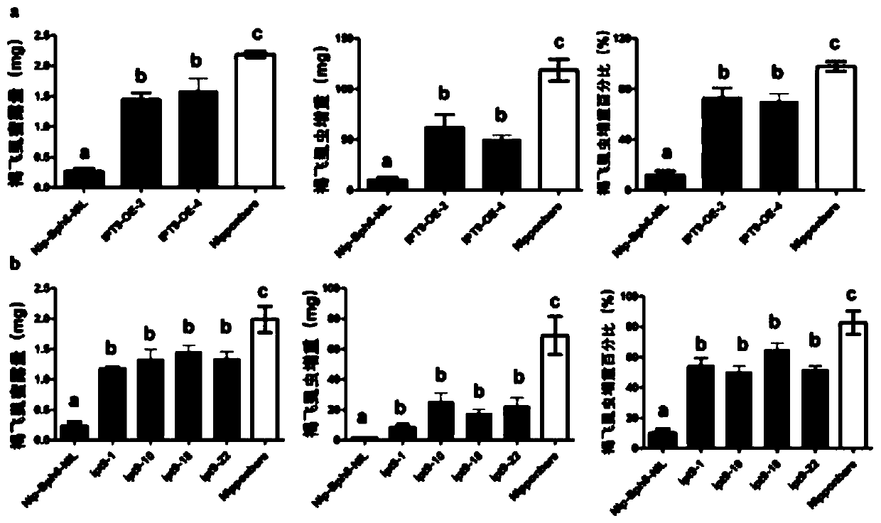 Application of rice tRNA isopentenyl transferase gene OsIPT9 in brown planthopper resistance of rice