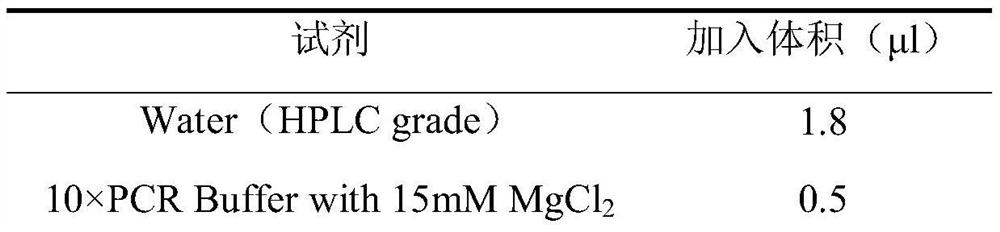 Single nucleotide polymorphism marker sites, primer pairs, kits and applications for identifying peach blossom boll-shaped/rose-shaped traits