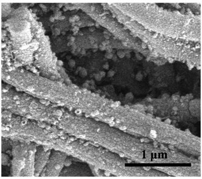 Preparation and application of transition metal phosphide/core-shell nitrogen-doped carbon nanofiber composite material