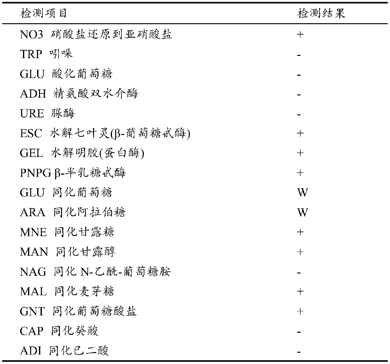 Bacillus polymyxa water-soluble fertilizer, and preparation method and application thereof