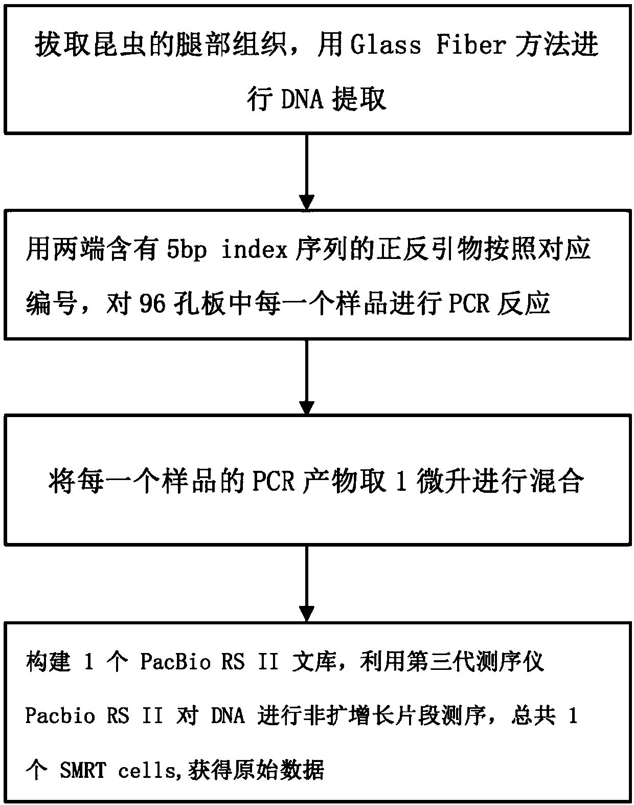 Method for obtaining bar code area of COI (C oxidase I) gene of insect in batched and high-accuracy ways by using PacBio monomolecule sequencing