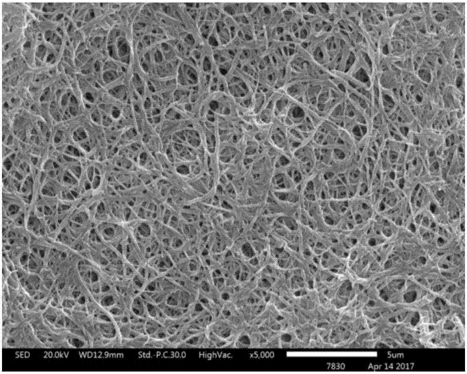Preparation method for nanofiber porous membrane for carrying high-activity nanometal particles