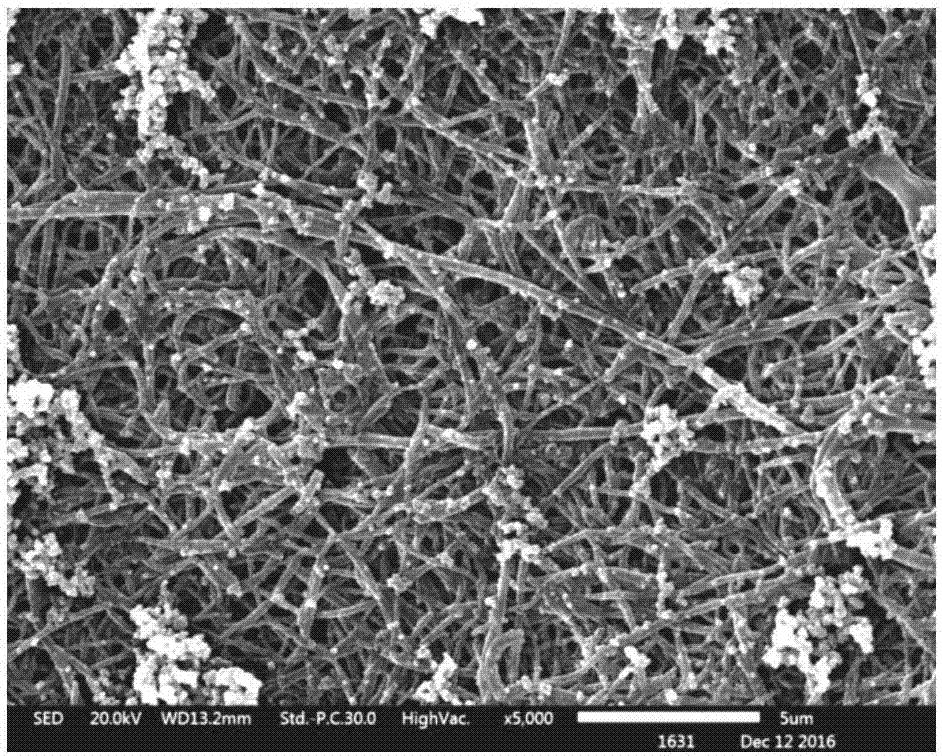 Preparation method for nanofiber porous membrane for carrying high-activity nanometal particles