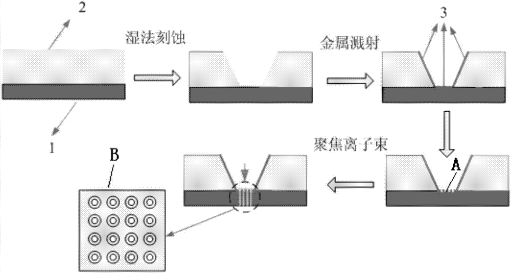 Porous array electromagnetic field reinforced SERS (surface enhanced raman scattering) device for detecting trace microcystic toxin and preparation method and detection method