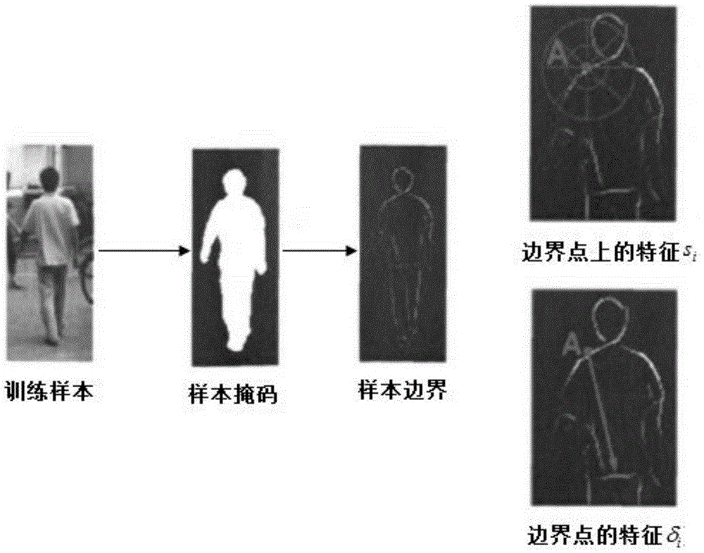 Pedestrian recognition, positioning and counting method for video