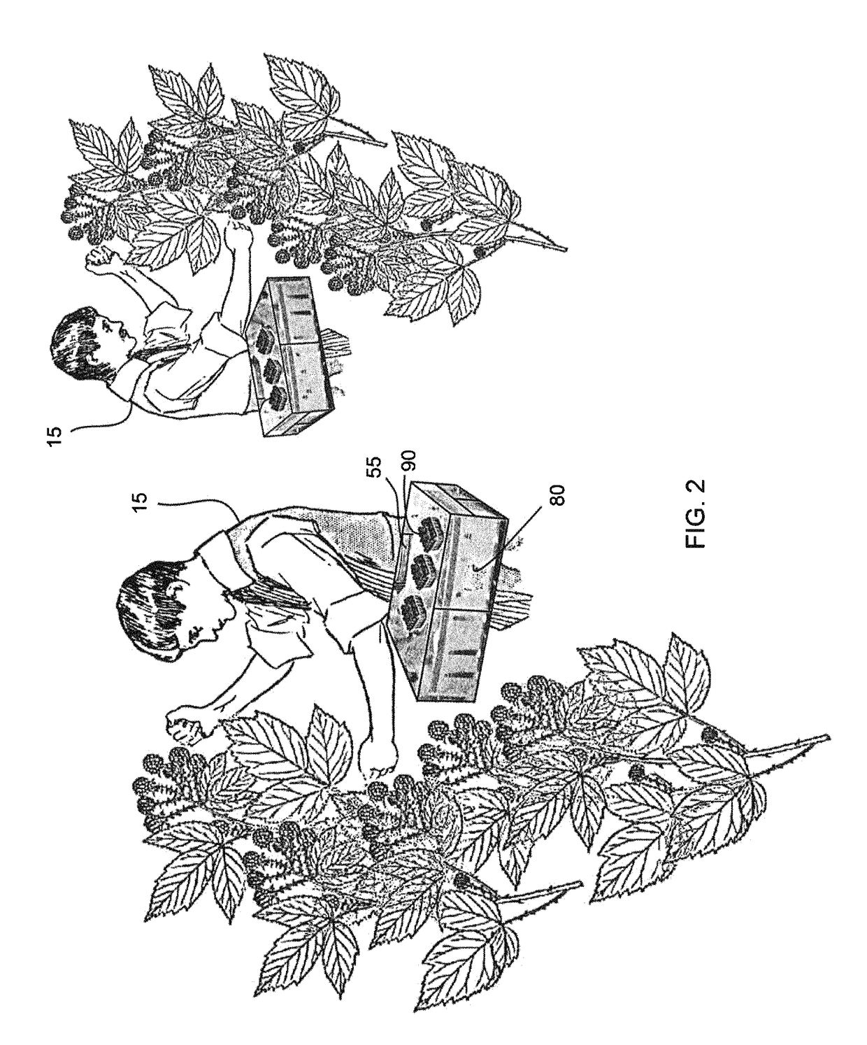 Apparatus, method and system for harvesting, handling and packing berries picked directly from the plant