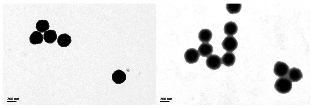 Zanamivir-magnetic nanoparticle conjugate, its preparation method and use