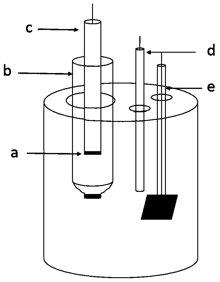 Method for extracting free DNA from human plasma