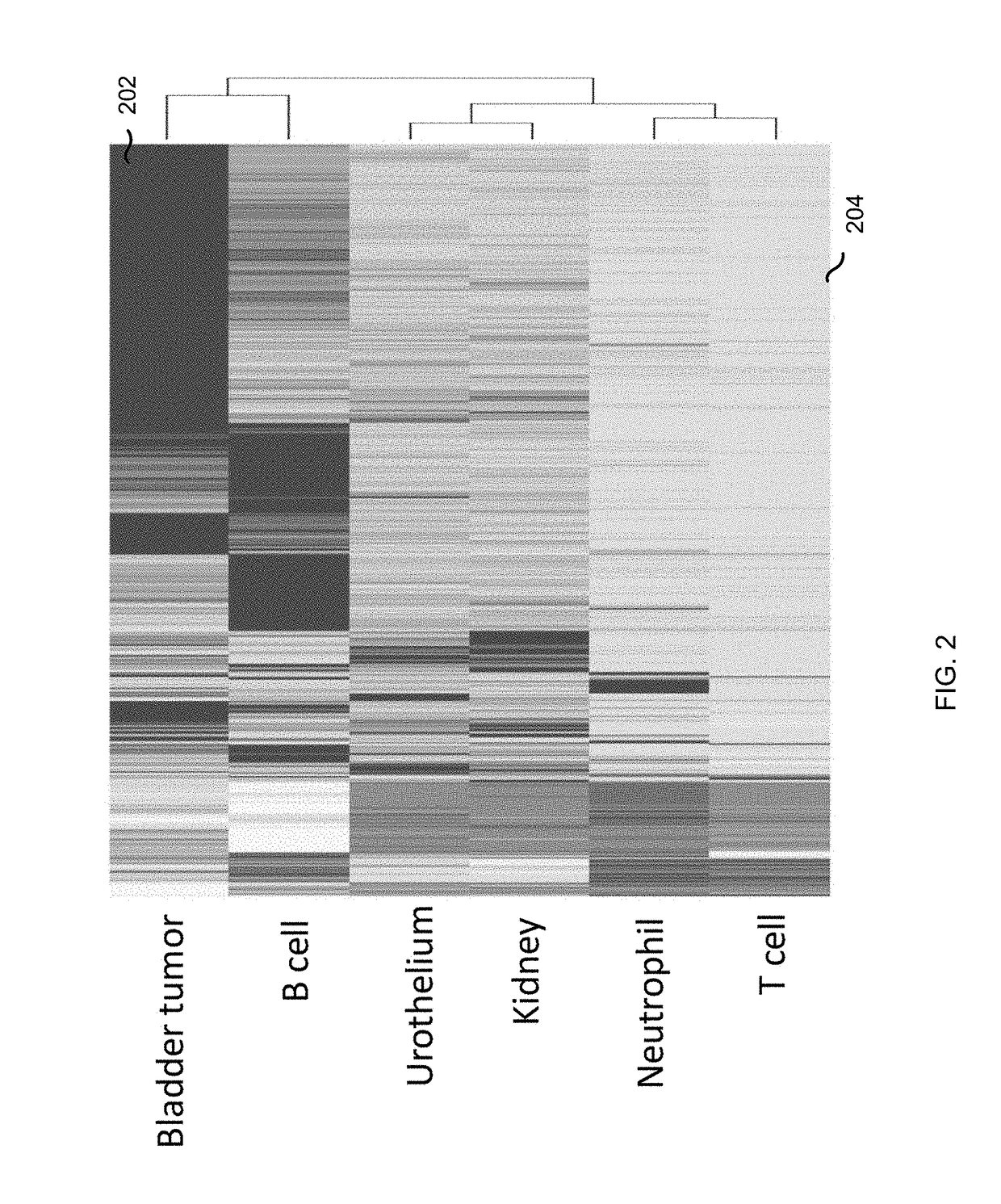 Analysis of cell-free DNA in urine and other samples