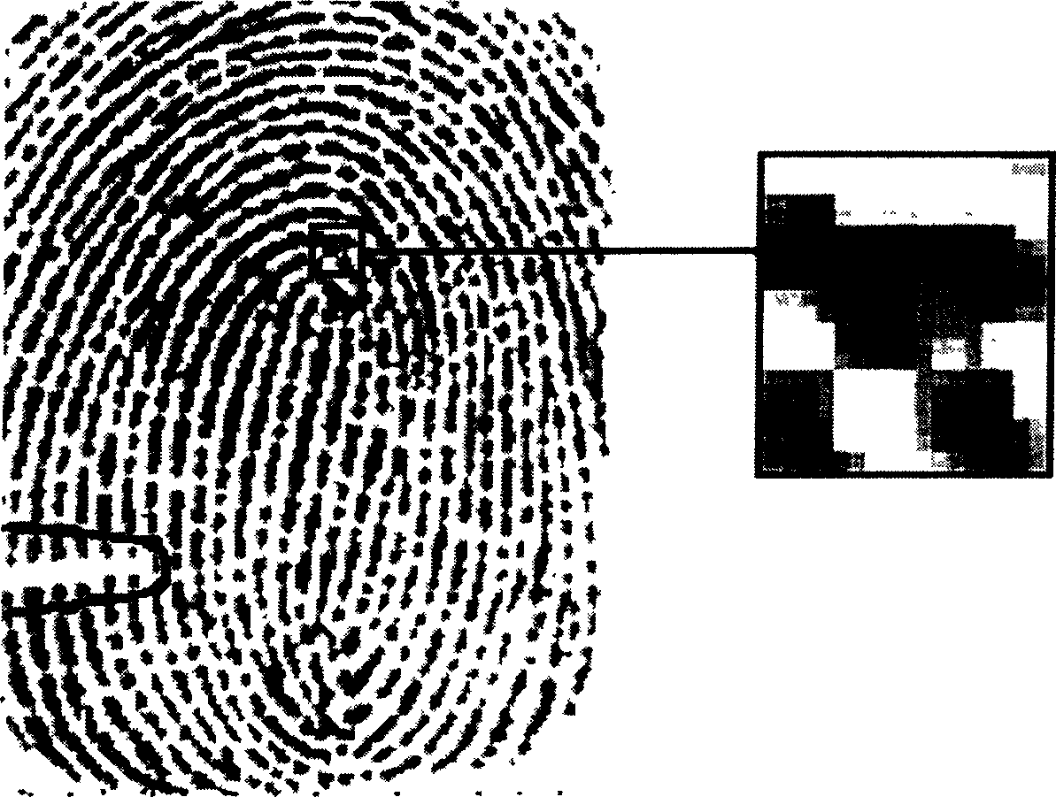 Embedded system fingerprint identification and matching method