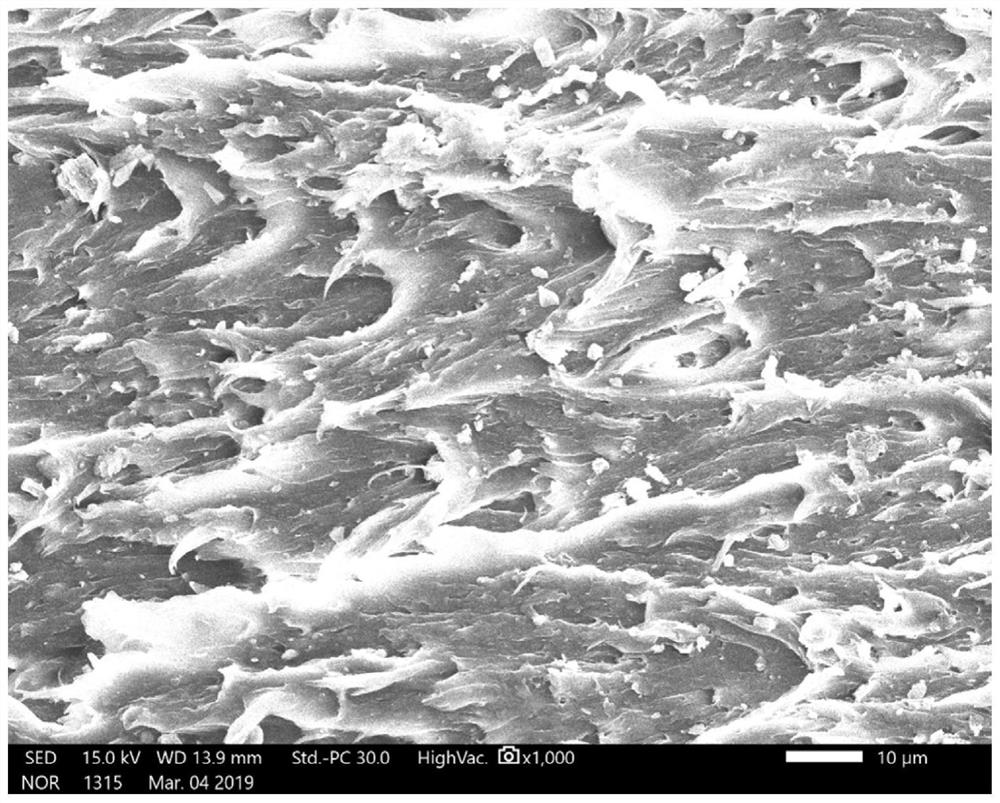 Alpha-phase nano-alumina reinforced polyetheretherketone biocomposite and preparation method thereof
