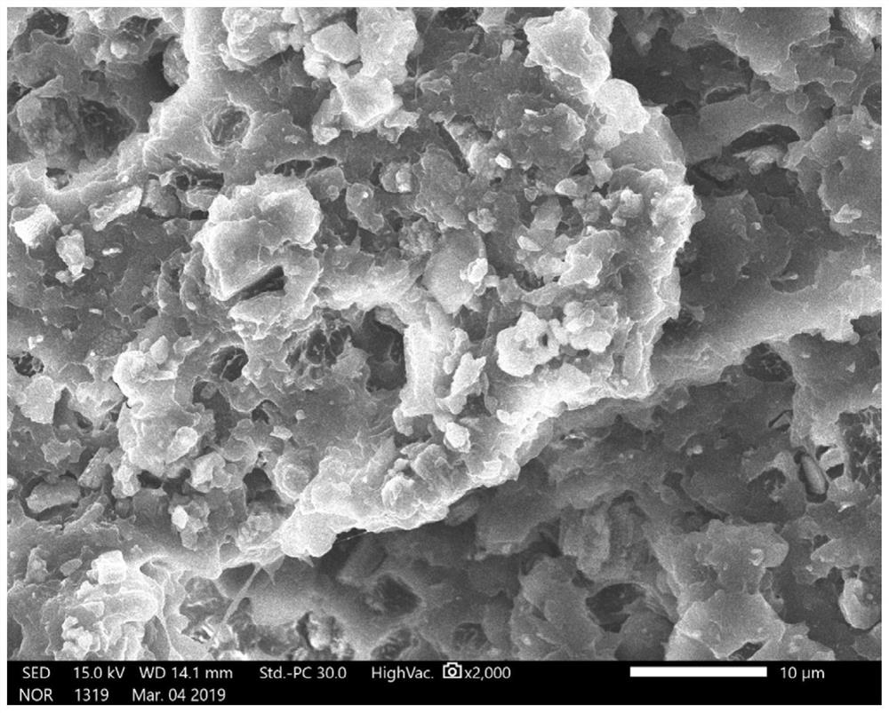 Alpha-phase nano-alumina reinforced polyetheretherketone biocomposite and preparation method thereof