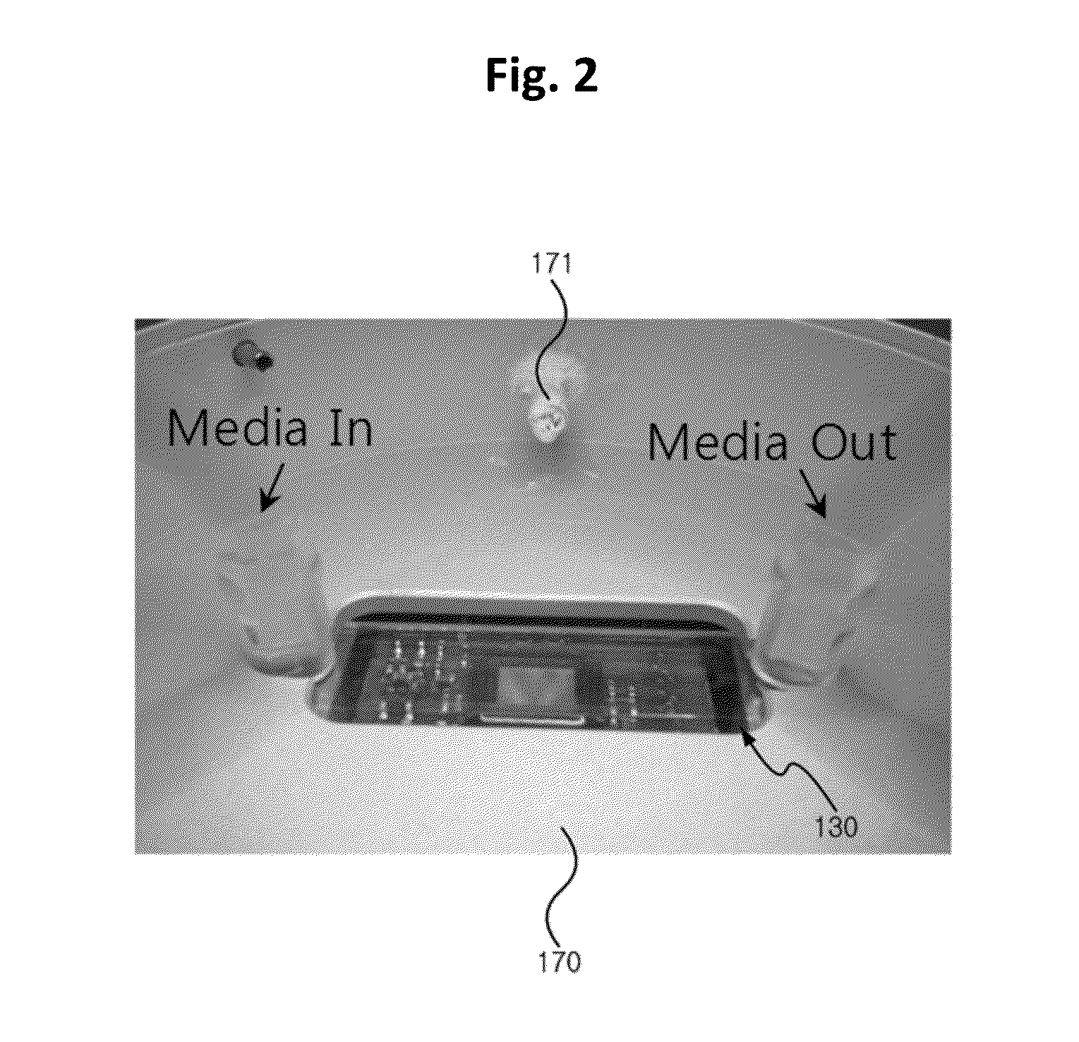 Apparatus for measuring cell activity and method for analyzing cell activity