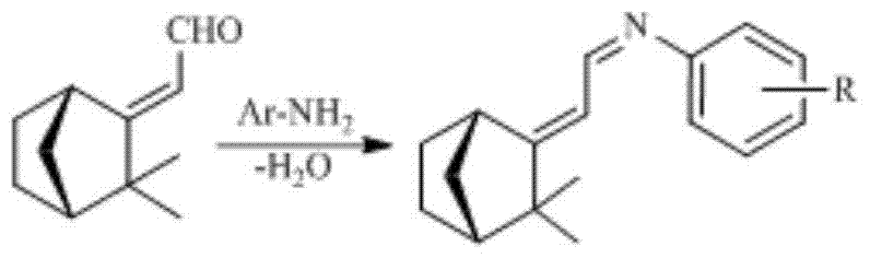 A kind of synthetic method containing camphenyl schiff base compound
