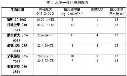 A kind of tomato hanging tank type soilless cultivation method