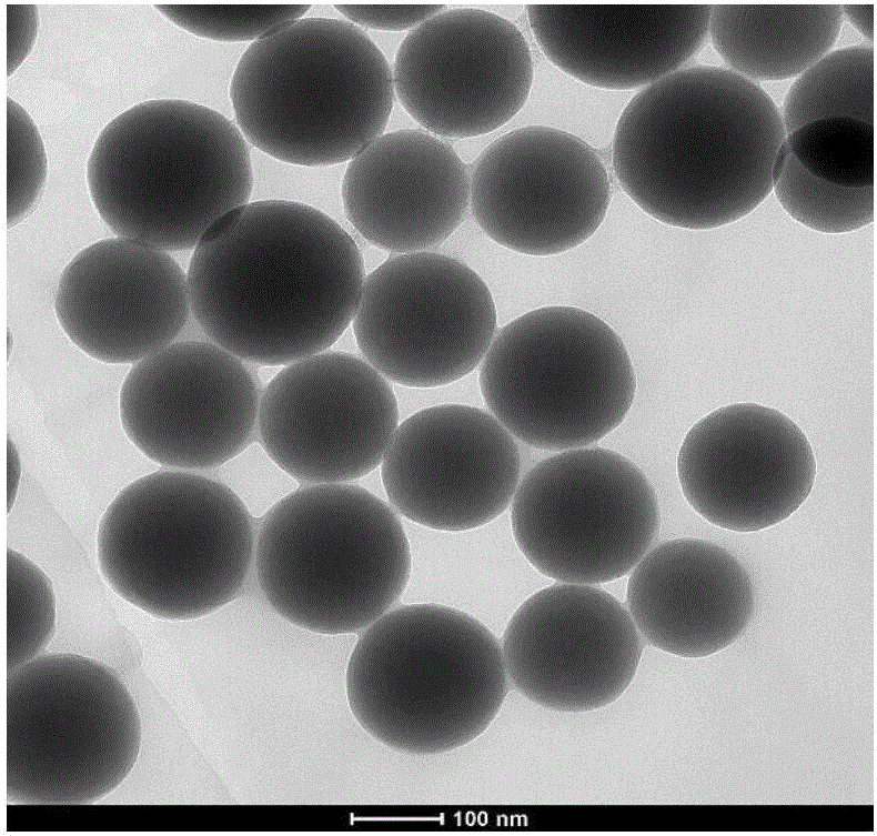 Composite catalyst for treating antibiotic wastewater and preparing method and application thereof