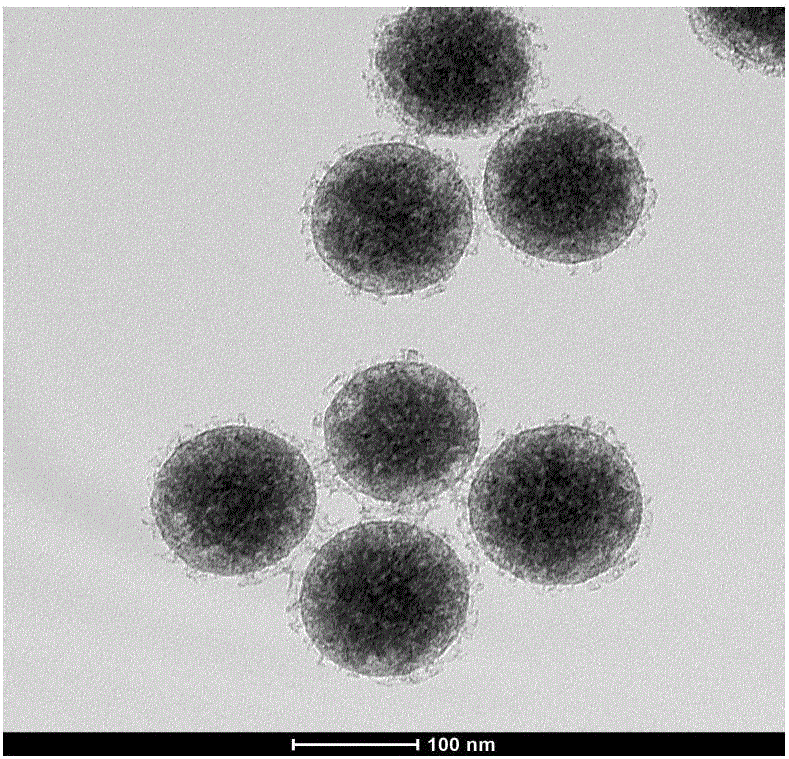 Composite catalyst for treating antibiotic wastewater and preparing method and application thereof