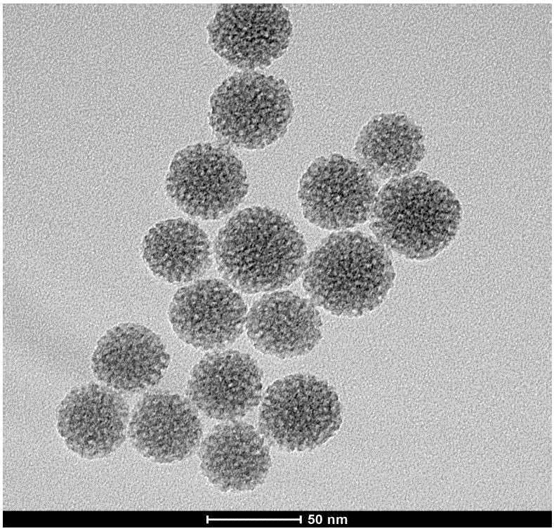 Composite catalyst for treating antibiotic wastewater and preparing method and application thereof