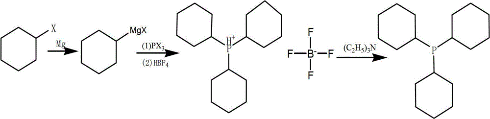 Preparation method of tricyclohexyl phosphine