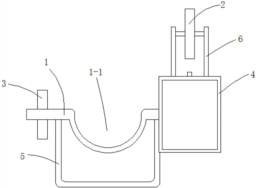 Fertilizer applicator for fruits and vegetables