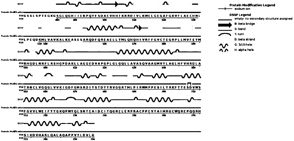 Human tropomyosin receptor kinase A mutant and application