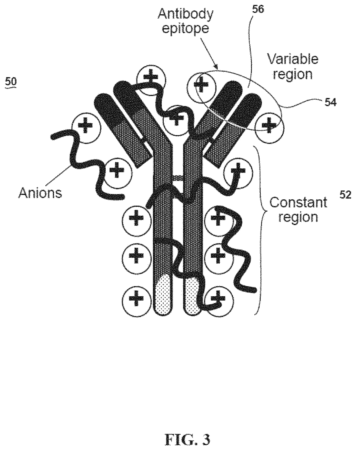 Ultra-stable protein ionic liquids