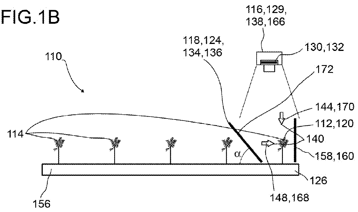 Screening device for screening plant specimens