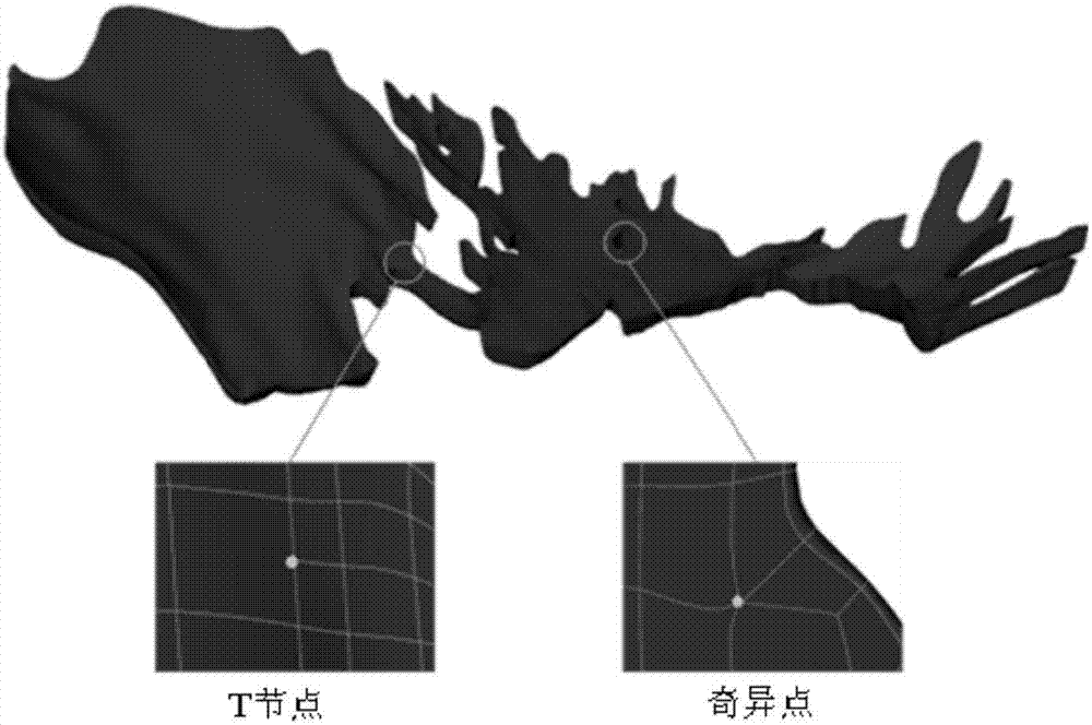3D geologic modeling method based on T splines