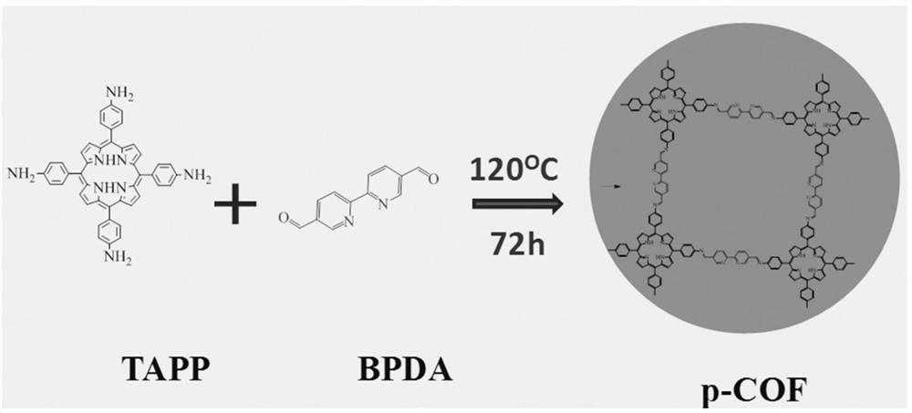 Covalent organic framework material, preparation method and application thereof, aptamer sensor and preparation method thereof