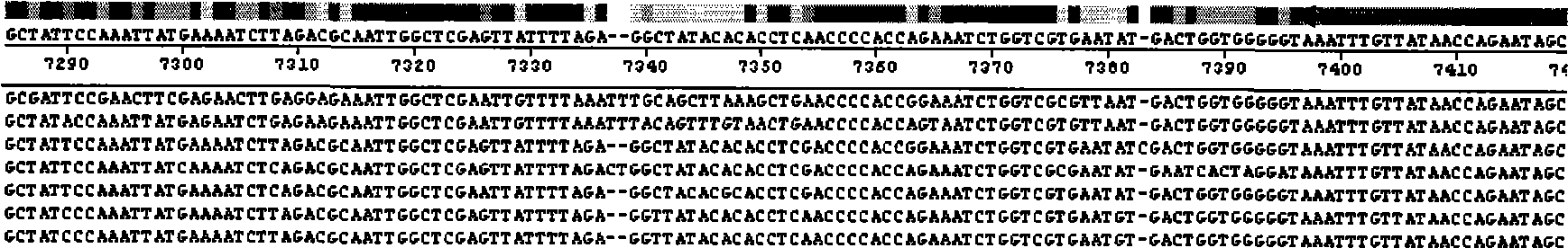 Sequence of enterovirns type71 genome and uses thereof