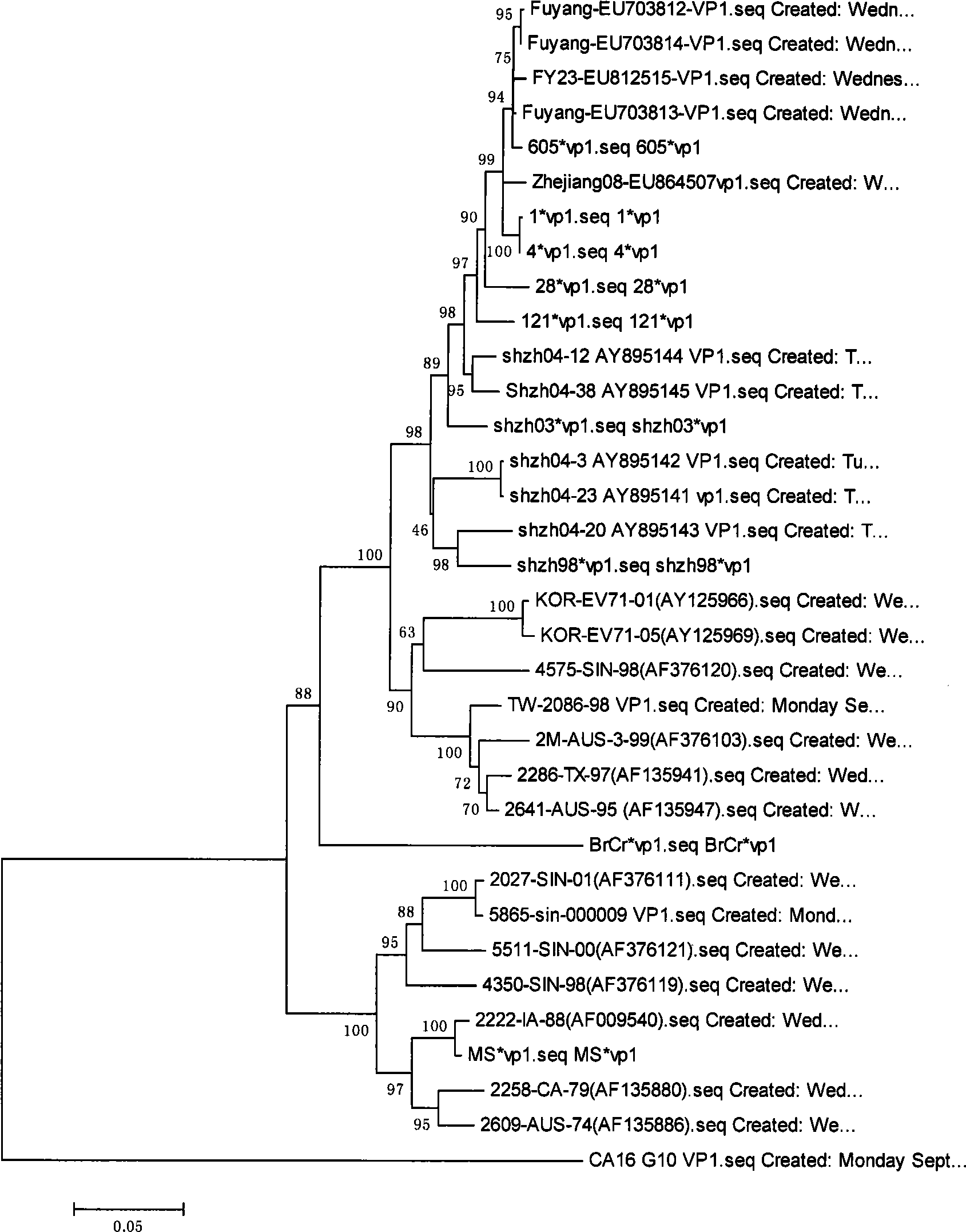 Sequence of enterovirns type71 genome and uses thereof