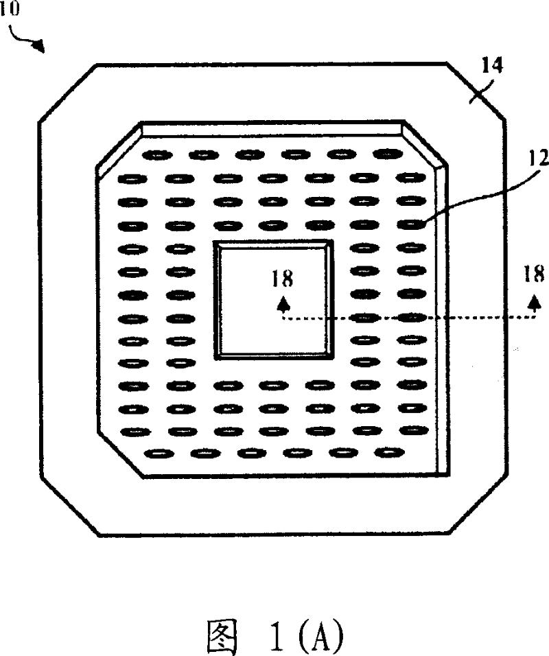 Socket for semiconductor apparatus