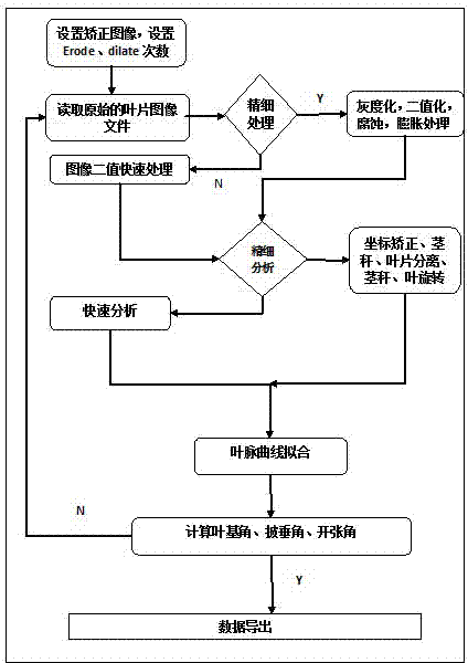 Rice tiller image acquisition device and shape parameter extraction method