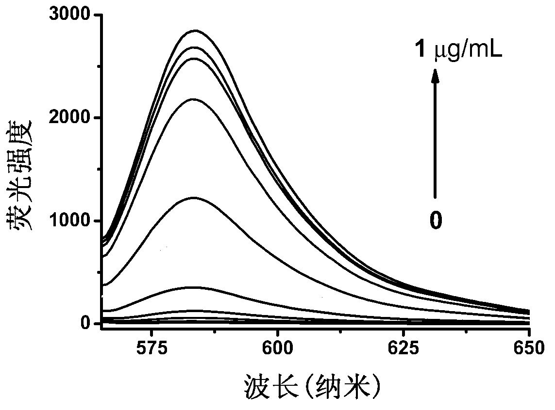Bacteria nitroreductase detection kit and special-purpose fluorescence probe thereof