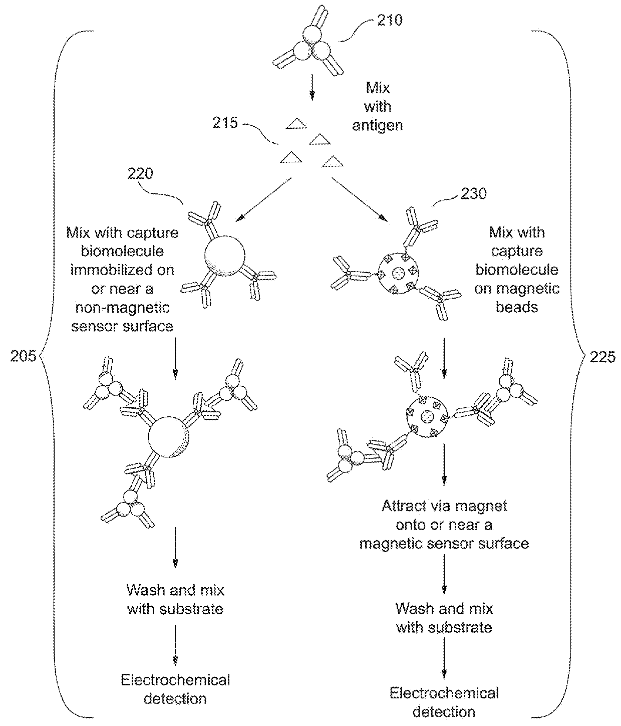 Extended range immunoassay devices with immunosensor and magnetic immunosensor