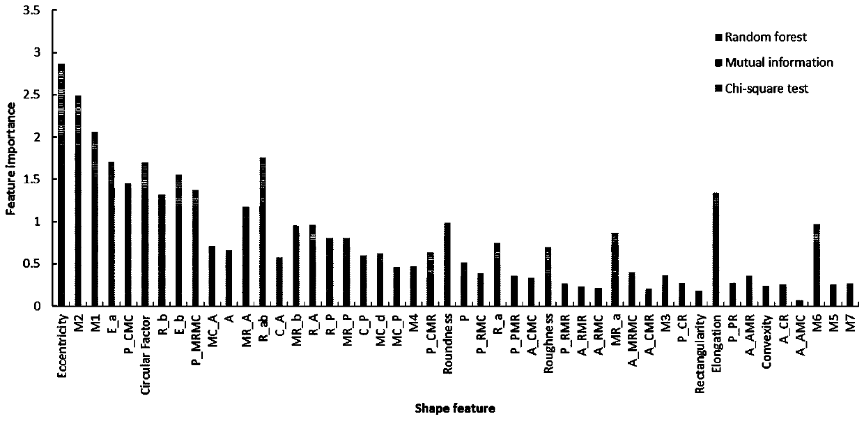 Aggregate shape classification method based on machine learning