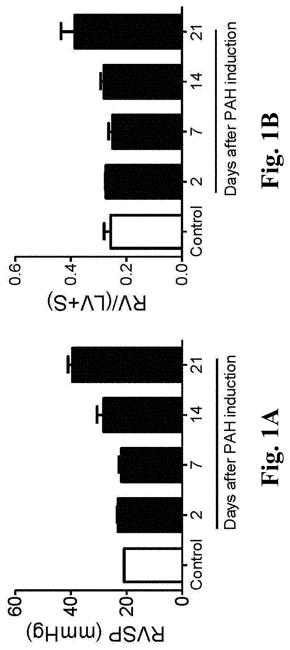 Compositions and methods for treating pulmonary hypertension