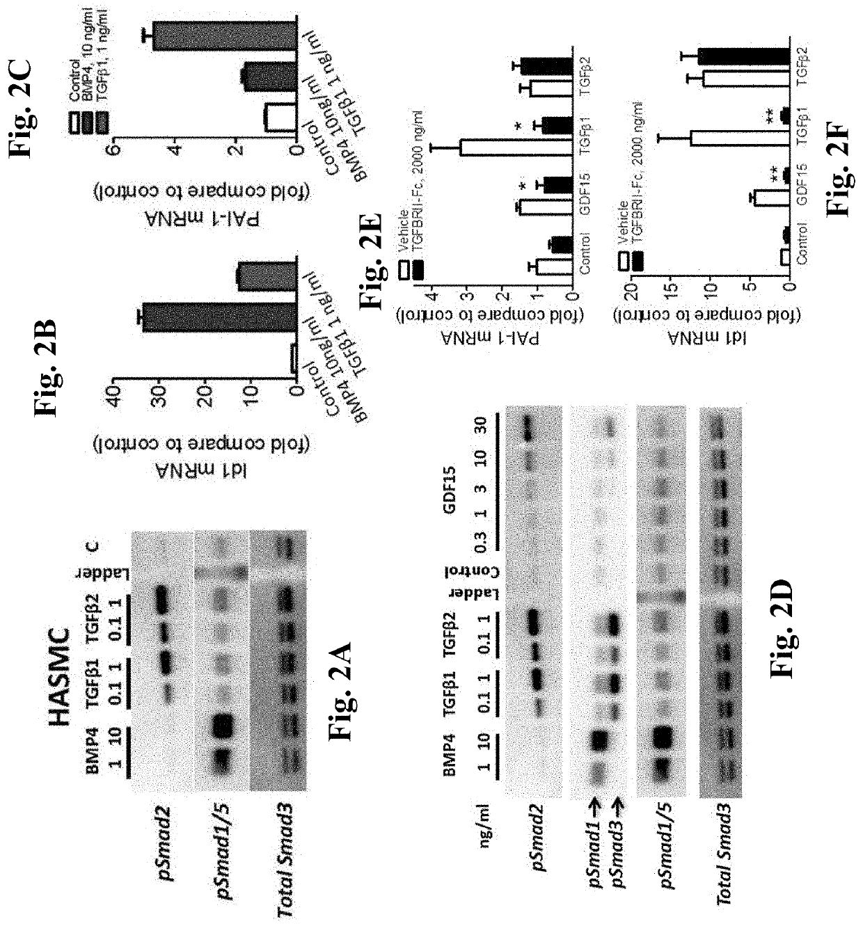 Compositions and methods for treating pulmonary hypertension