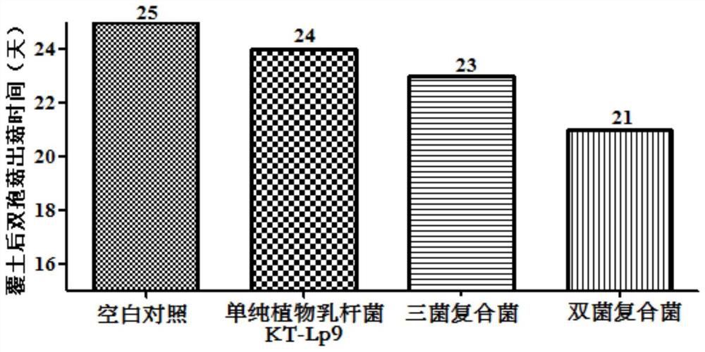 A kind of compound lactic acid bacteria agent and its preparation method and application