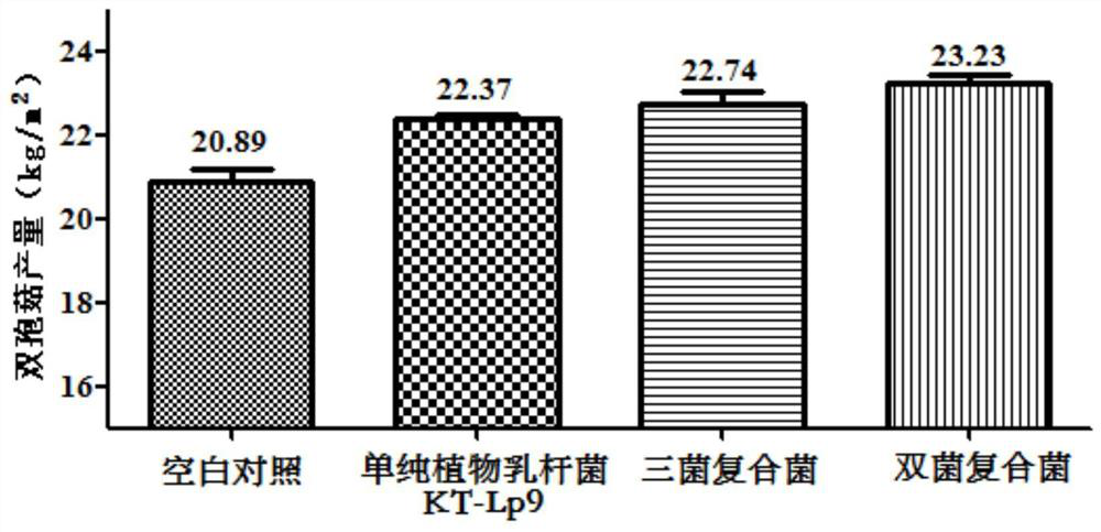 A kind of compound lactic acid bacteria agent and its preparation method and application
