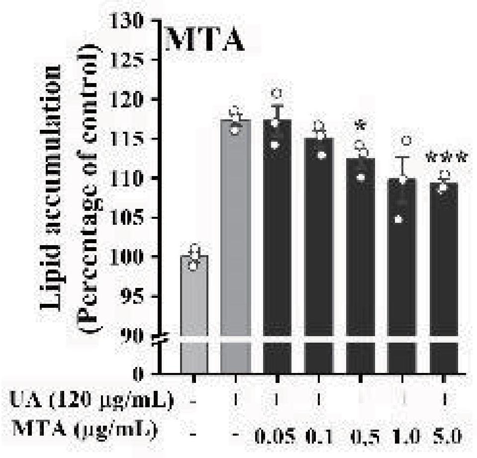 Application of 5 '-methylthioadenosine in preparation of obesity inhibition drugs or health care products