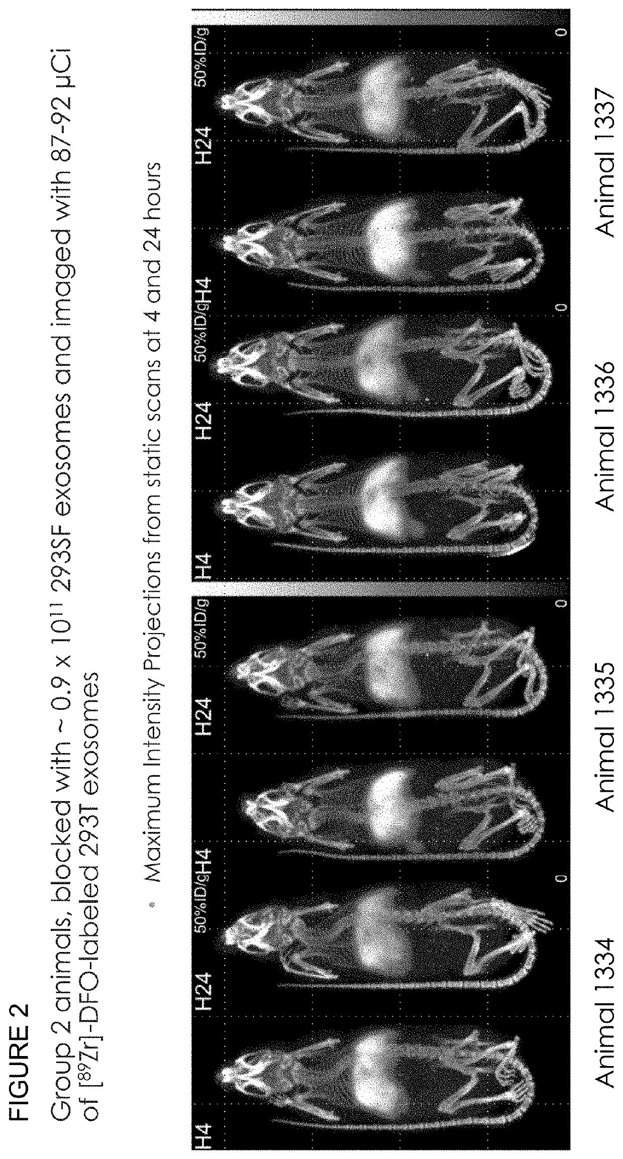 Methods of suppressing delivery of exosomes to liver and spleen