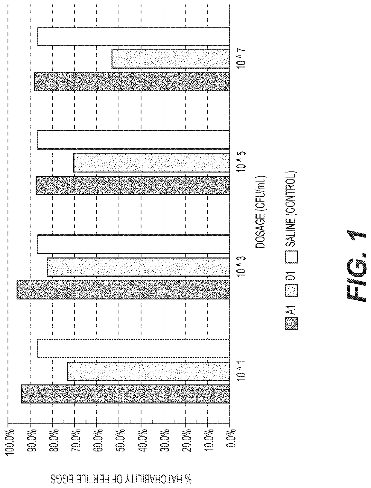 Method and composition for improving health of an animal comprising cells of organism consisting of the strains within the order clostridiales