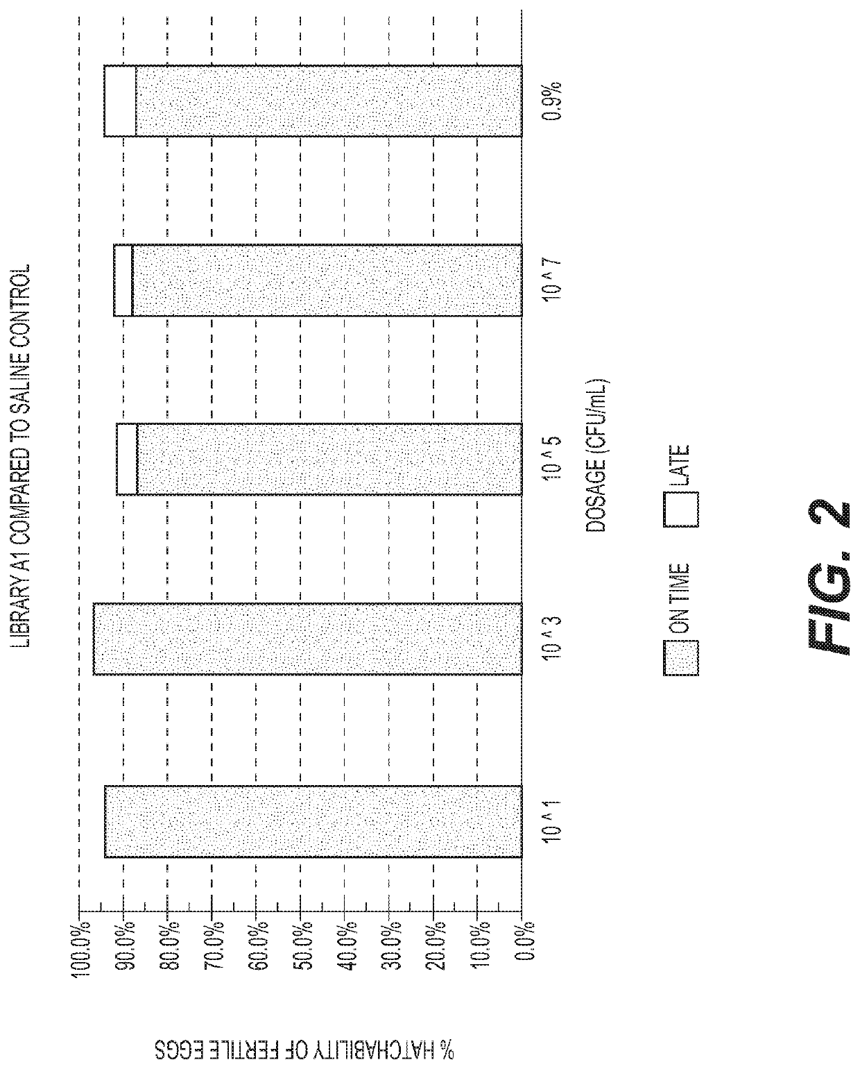 Method and composition for improving health of an animal comprising cells of organism consisting of the strains within the order clostridiales