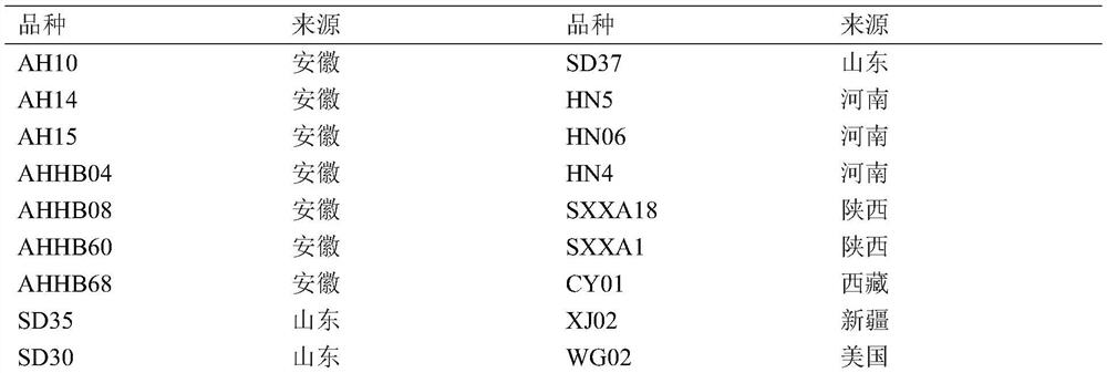 The ssr core primer set developed based on the whole genome sequence of pomegranate and its application