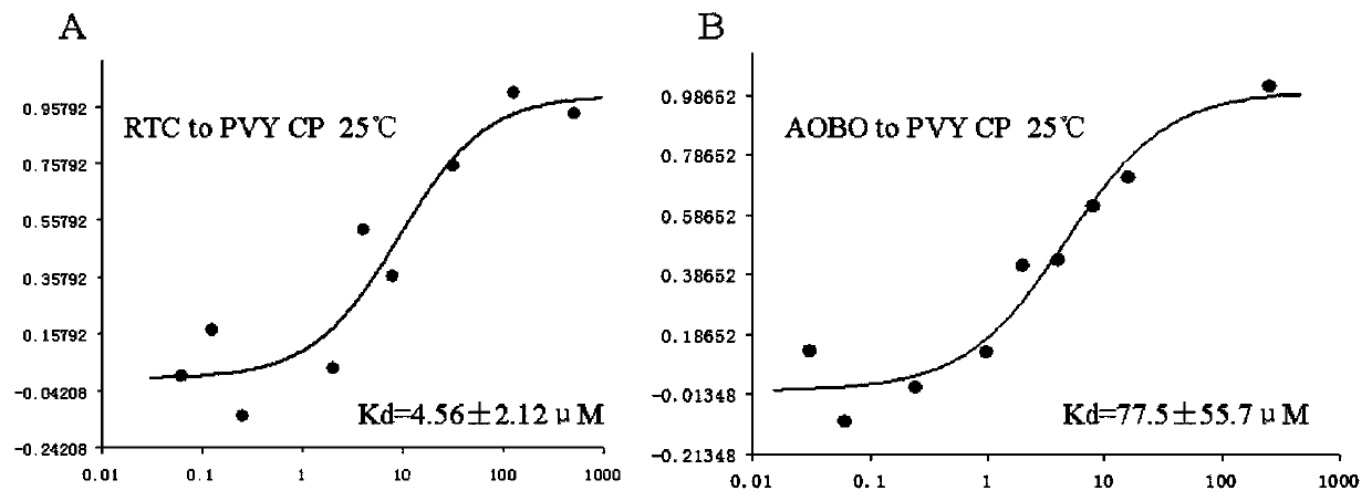 PVY-CP serving as target of drug for screening and treating potato Y virus and application thereof