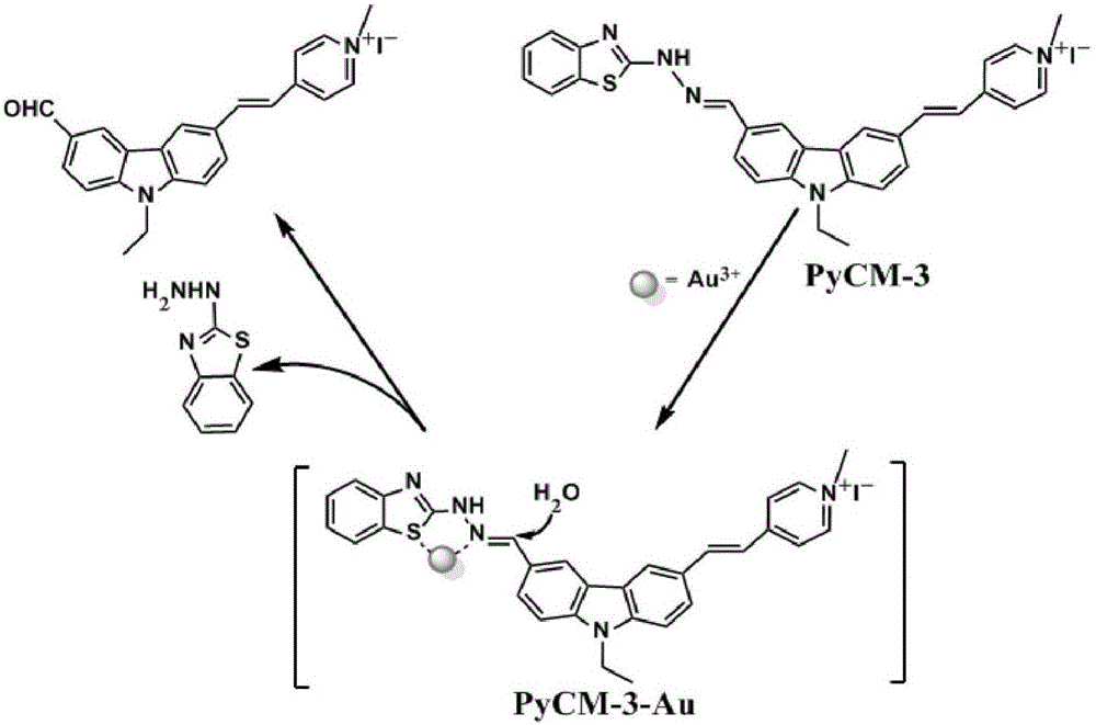 Two-photon fluorescent probe as well as preparation method and application thereof